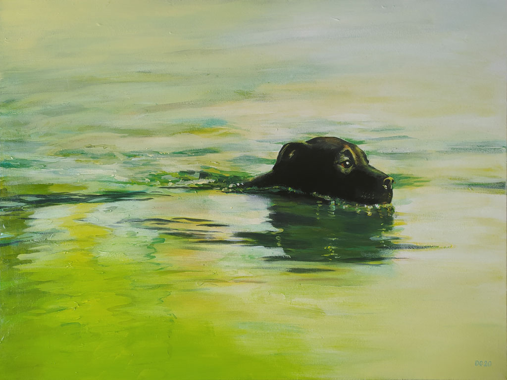Labrador (80 x 60 cm) - 06/2020 Labrador (80 x 60 cm) - 06/2020